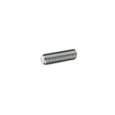 Ganter Grub Screws with Brass / Plastic Pivot, Stainless Steel 913.5-M10-25-KU