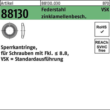 Sperrkantring R 88130 VSK 18x29,4x2,8 Federstahl z inklamellenb. 150St. 881300300180000