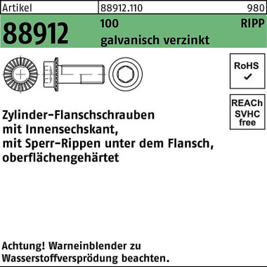 Zylinderflanschschraube R 88912 Sperr-Ripp Innen-6 kt M6x16 100 galv.verz. 5 00St. 889121100060016