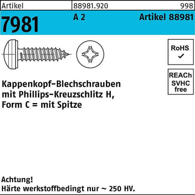 Kappenkopfblechschraube R 88981 PH 3,9x 13-H A 2 1 000 Stück 889819200039013