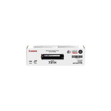 Canon Toner 6273B002 731H 2.400 Seiten schwarz 102423790