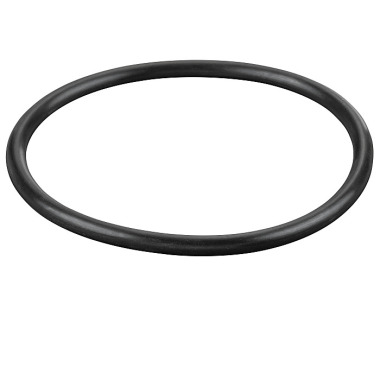 REMS O-Ring 060197