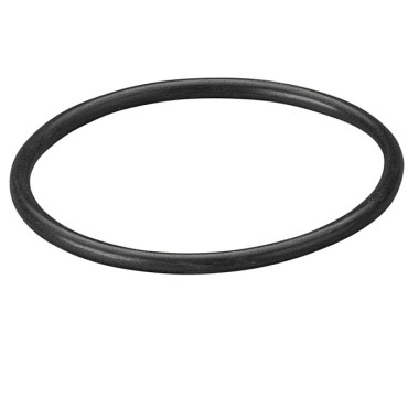 REMS O-Ring 060299