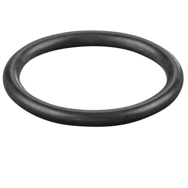 REMS O-Ring 060306