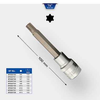 Brilliant  1/2" Bit-Schraubendreher, RIBE, 100mm, M 5 BT022730