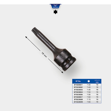 Brilliant  1/2" Kraft Bit-Stecknuss Torx T70 BT022608