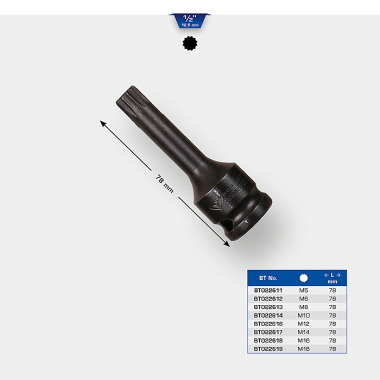 Brilliant  1/2" Kraft-Bit-Stecknuss XZN M14 BT022617