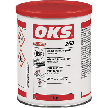 Weiße Allroundpaste OKS 250 weiß 1kg Dose OKS 1105890445