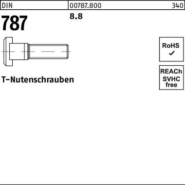 T-Nutenschraube DIN 787 1 6 M16x 100 8.8 10 Stück 007878001616100