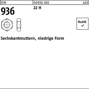 Sechskantmutter DIN 936 M 12 22 H 100 Stück 009361000120000