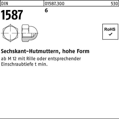 Sechskanthutmutter DIN 15 87 M10 SW 17 6 hohe Form5 00 Stück 015873000100000