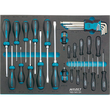 HAZET Screwdriver set - Phillips profile PH, hexagon socket profile, slotted profile, TORX® profile - Number of tools: 31 163-141/31