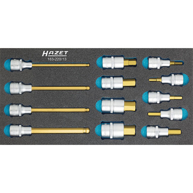 HAZET Screwdriver socket set - square hollow 12.5 mm (1/2 inch) - hexagon socket profile - number of tools: 13 163-220/13