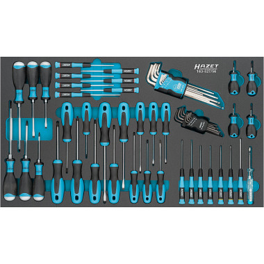 HAZET Screwdriver set - slotted profile, Phillips profile PH, inside TORX® profile, inside hexagon profile - 6?36 - Number of tools: 56 163-527/56