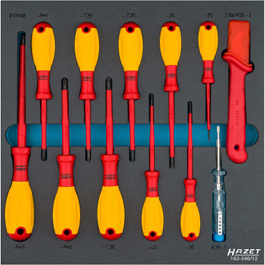 HAZET Screwdriver set 163-546/12