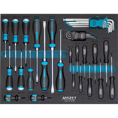 HAZET Tool assortment - Number of tools: 39 163-373/39