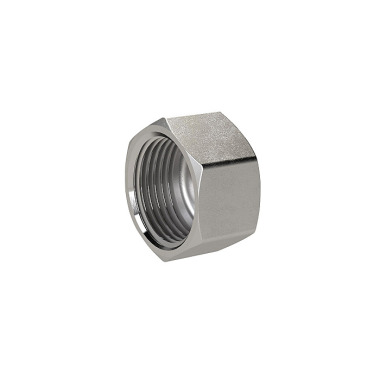 Riegler End cap, hexagon G 1/4, IG, SW 16, ES 1.4408 119342