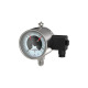 Riegler Contact pressure gauge, G 1/2 radial bottom, measuring range 0-25.0 bar, ø 100 129747