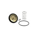 Riegler Wear parts kit, DN 50/65, FPM, for media-driven MV, F.BV. 129213