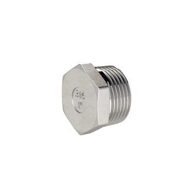 Riegler Closing plug, hexagon, R 1 1/4, AG, SW 44, ES 1.4408 118581