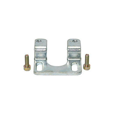 Riegler Bracket with 2 screws 101166