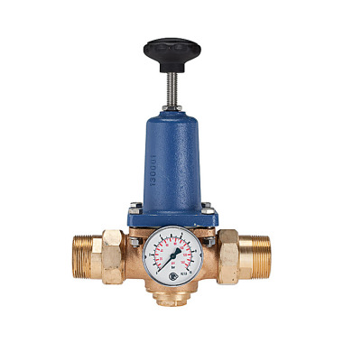 Riegler Pressure regulator for potable water, without DVGW, R 2 101354