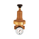 Riegler Pressure regulator DRV 250, low pressure version, G 1/4, 0.2 - 2 bar 101434