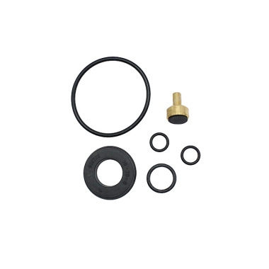 Riegler Wear parts kit, for pressure regulator DRV 225, G 1 1/4 101461