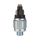 Riegler Pressure switch, standard, galvanized steel, G 1/8, 0.5-2 bar, normally open 102993