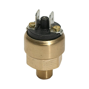 Riegler Pressure switch mini design, Brass, G 1/8, Setting range 1-10 bar 103015