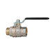 Riegler Ball valve standard version, black lever, IG/AG, nickel-plated brass, G 1/4 103195