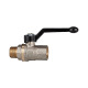 Riegler Ball valve long thread version, IG/AG, MS nickel-plated, Rp/R 1/2 103247