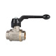 Riegler Ball valve heavy duty, hand lever, IG/IG, nickel-plated brass, G 1/4 103261