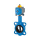 Riegler Intermediate flange butterfly valve, pneumatic actuator double-actuated DN 65 103669