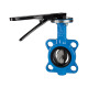 Riegler Intermediate flange butterfly valve, hand lever, DN 40 103681