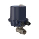 Riegler Brass ball valve, Electr. actuation drive 230 V AC, 50 Hz, Rp 1/2 103694