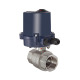 Riegler Brass ball valve, Electr. actuation drive, 230 V AC, 50 Hz, Rp 2 103699