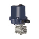 Riegler Stainless steel ball valve, Electr. actuation drive, Rp 1 103708