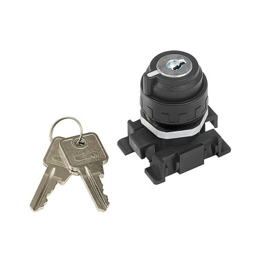 Riegler Lockable 2 position switch with key removal in all positions 106454