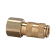 Riegler Quick release coupling NW 2.7, brass plain, M5 IG 107071