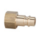 Riegler Nipple for couplings NW 7.2 - NW 7.8, brass plain, G 1/8 IG 107241