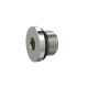 Riegler Locking screw, Hexagonal socket 6 mm, G 1/4, nickel-plated brass 111410