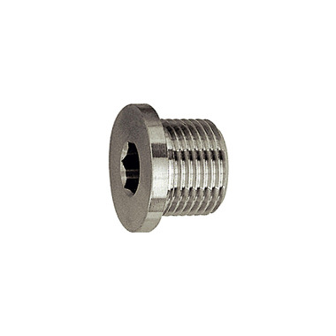 Riegler Plug screw, hexagon socket, collar, G 1/8, SW 5, ES 1.4571 111645