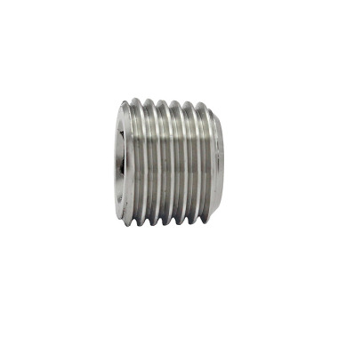 Riegler Locking screw, Hexagonal socket, without flange, R 1/4 111656