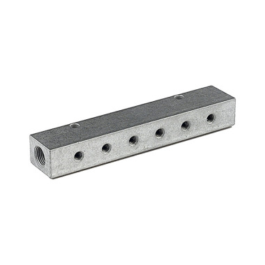 Riegler Distributor strip, Outlets one side, Input 2x1/8, Output 2 x M5 112524