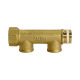 Riegler Distributor pipe, 2 outlets, Input 2x3/4, Output 2x1/2 IT, Brass 112561