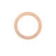 Riegler Sealing ring made of copper, for thread M5, pack of 100. 114102