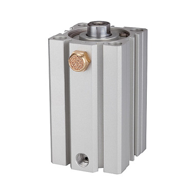 Riegler Short stroke cylinder »ASQ« single acting, piston Ø 32, stroke 20, G 1/8 115189