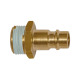 Riegler Nipple for couplings NW 7.2 - NW 7.8, plain brass, R 1/4 AG 117890