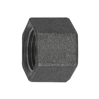 Riegler Cap 300, Rp 1 i. Malleable cast iron black 133801